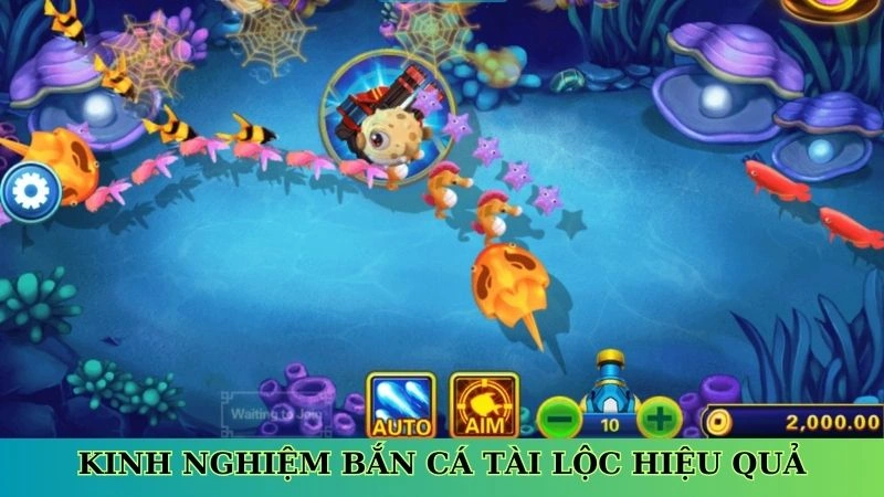 Kinh nghiệm bắn cá tài lộc hiệu quả Kinh nghiệm bắn cá tài lộc hiệu quả
