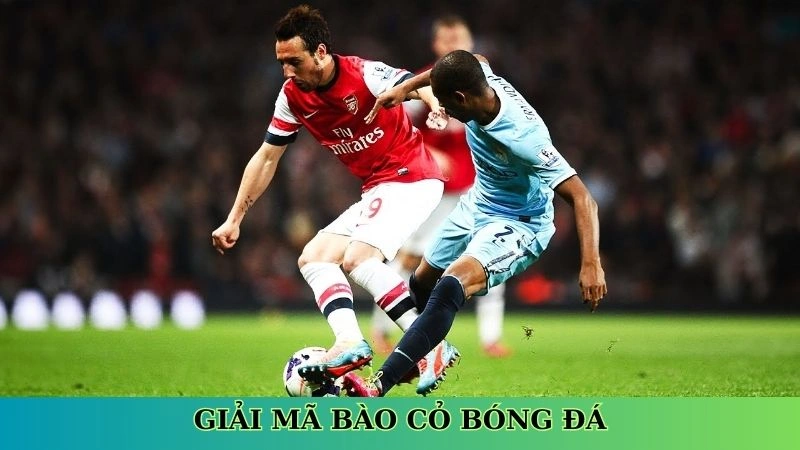 Giải mã bào cỏ bóng đá Giải mã bào cỏ bóng đá