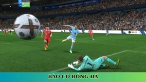 Bào cỏ bóng đá