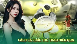 cá cược thể thao Fb88