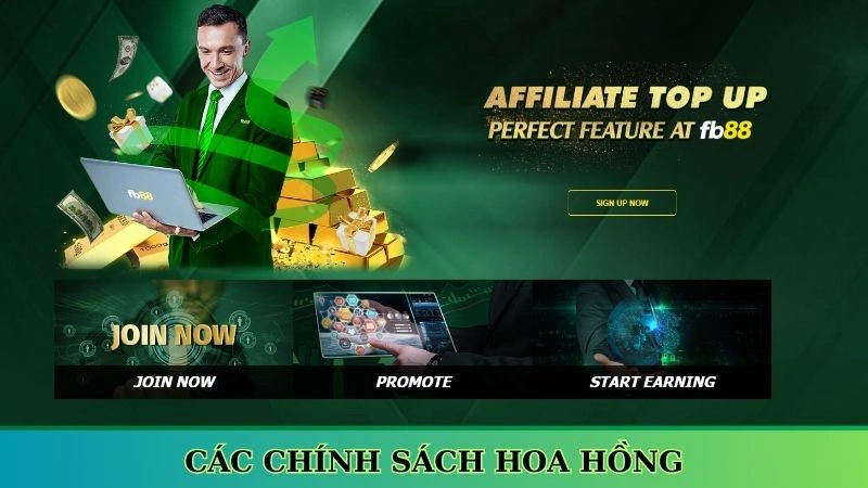 Các chính sách hoa hồng Các chính sách hoa hồng
