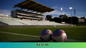 Kèo dụ