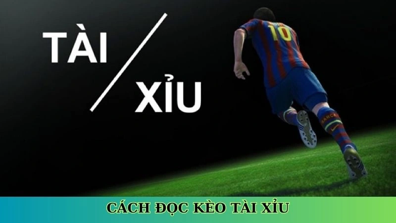 Cách đọc kèo tài xỉu Cách đọc kèo tài xỉu