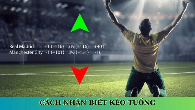 Cách nhận biết kèo tuồng Cách nhận biết kèo tuồng