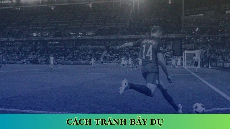 Cách tránh bẫy dụ khi cá cược bóng đá Cách tránh bẫy dụ khi cá cược bóng đá