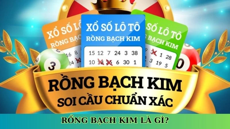Rồng bạch kim là gì?