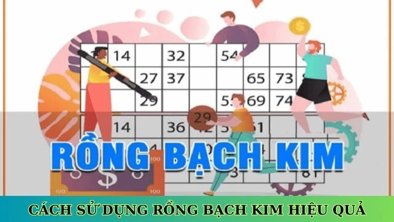 Cách sử dụng rồng bạch kim hiệu quả