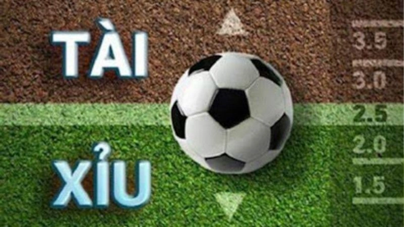 Tài xỉu bóng đá là gì? Tài xỉu bóng đá là gì?
