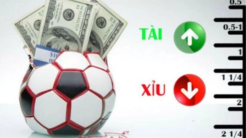 Phân tích kỹ phong độ hai đội Phân tích kỹ phong độ hai đội