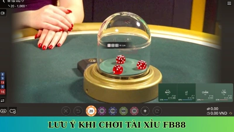 Lưu ý khi chơi tài xỉu Fb88