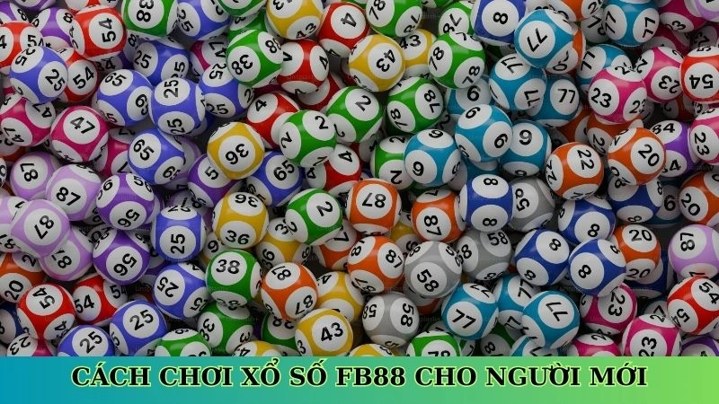 Cách chơi xổ số Fb88 cho người mới Cách chơi xổ số Fb88 cho người mới